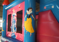 Çocuklar için Pembe Prenses PVC Tente Şişme Atlama Kalesi Slayt