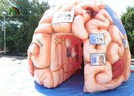 Dev 4 m Şişme Beyin Çoğaltma Eğitim SGS EN71 Için Yapay Organlar