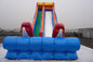 Single Lane Fish Decorated Blow Up Water Slide PVC Swimming Pool for Sale