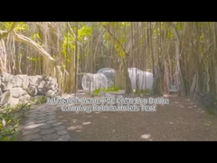 Şişme Bubble House Otel Çadırı