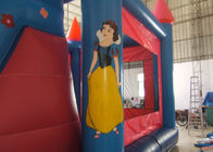 Çocuklar için Pembe Prenses PVC Tente Şişme Atlama Kalesi Slayt