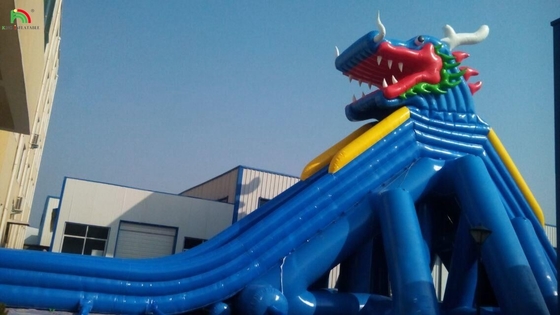 Su Parkı Slaytları Komik Su Parkı Su Oyunları Yeni Tasarım Su Oyunları Ekipmanı Şişme Uzun Su Slaytı