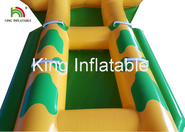 4 Kişilik Ticari PVC Şişme Çekilebilir Su Uçan Balık Botu