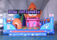 Çocuklar ve Yetişkinler İçin Slide PVC Renkli Şişme Eğlence Parkı