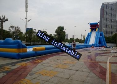Çocuklar ve Yetişkinler İçin Havuzlu Dev Ejderha Şişme Su Kaydırağı Plaj Kaydırağı