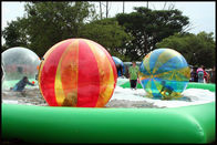 Su Parkı İçin Su Ball On karışık renkli 2m Çap Özelleştirilmiş PVC Wak
