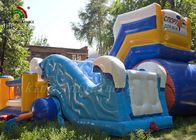 Tropic Dolphin Theme Backyard Fun İçin Combo Oyun Parkı