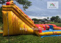 Renkli Büyük Şişme Kuru Slide / Slide Çocuk Bounce Evi