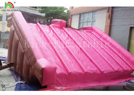Bahçe 0.55 Mm PVC PVC Tente Çocuklar İçin Pembe Renk Özelleştirilmiş Şişme Su Kaydırağı