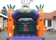 Parti Havuç Ve Tavşan 4X4M ile Küçük Çocuklar Şişme Atlama Kalesi Kullanılmış