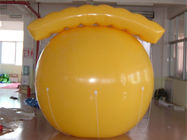 Sıcak Hava Balonu Fiyat / Özelleştirilmiş Şişme Reklam Balonları / Helyum Balonu