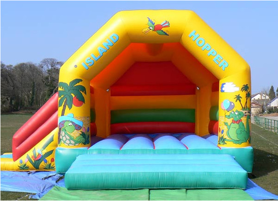 Doğum Günü Partisi için Renkli Bouncy Castle House 22ft X 19ft