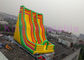 Giant Double Lane Inflatable Dry Slide Colorful Cartoon Printing For Amusement Park